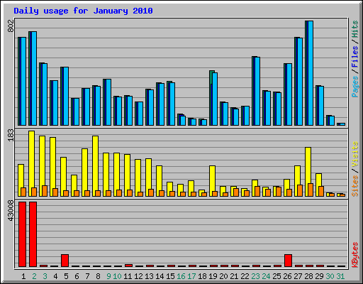 Daily usage for January 2010