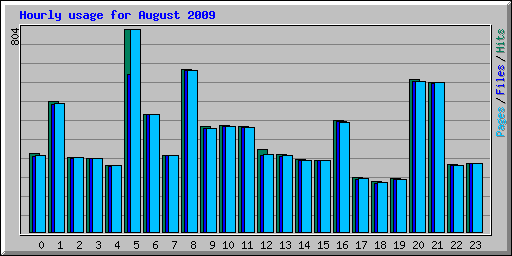Hourly usage for August 2009