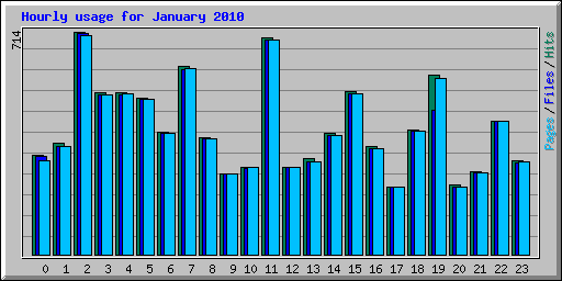 Hourly usage for January 2010